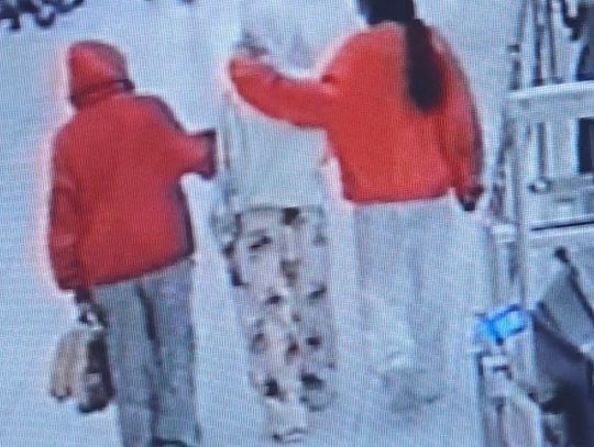 Zostawiły telefony w domu i zniknęły. Trzy zaginione nastolatki odnalezione w Niemczech