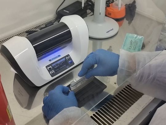 Zwyrodnialec zatrzymany blisko 20 lat po ataku na kobietę. Zgubiły go pozostawione ślady DNA