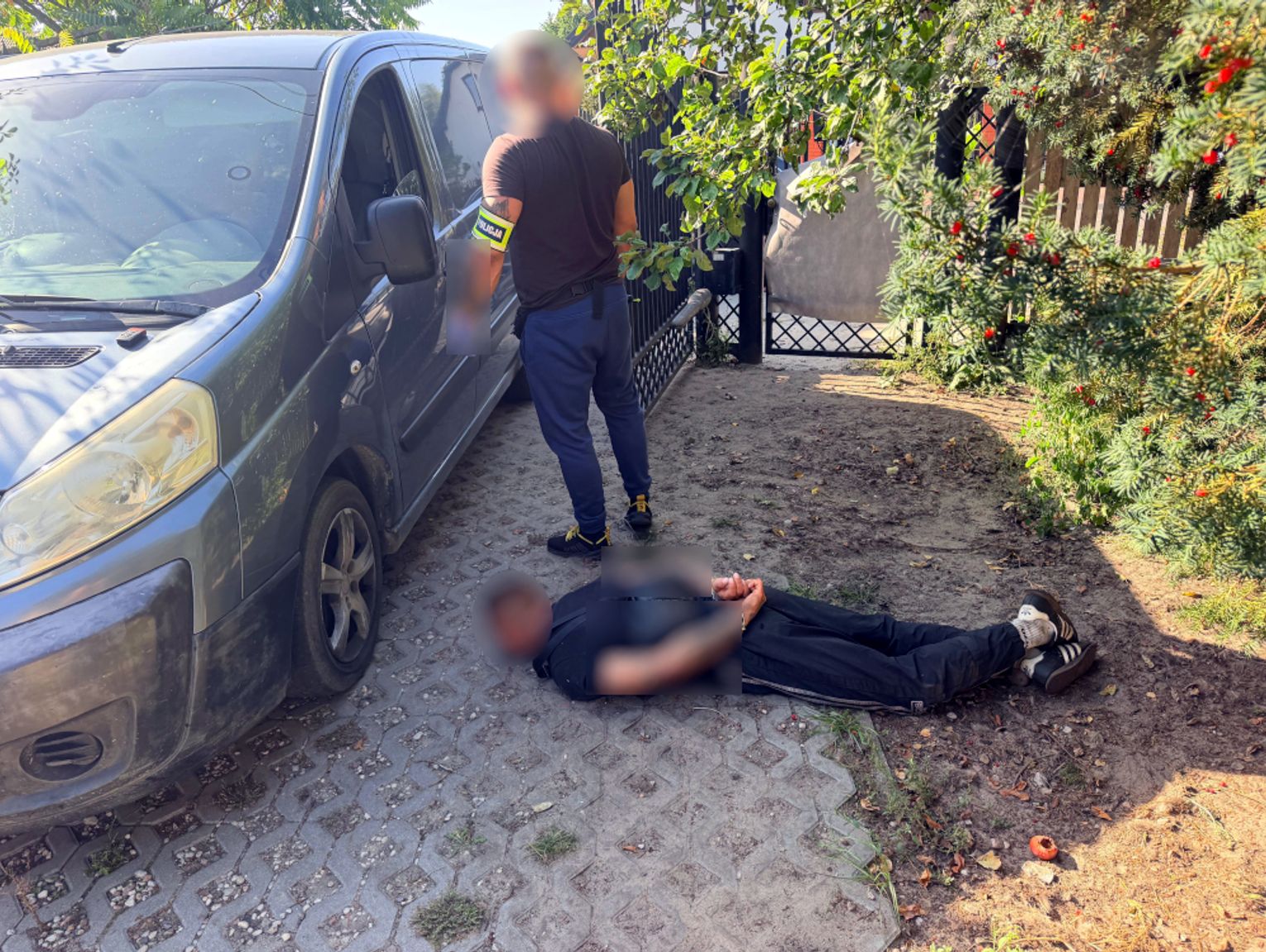 Dziupla samochodowa w Ostrówku: kradzione auta z Czech i Holandii