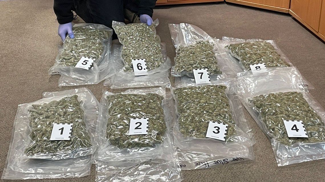 13 kilogramów marihuany w paczkach z Hiszpanii. Narkotykowe odkrycie w sortowni przesyłek