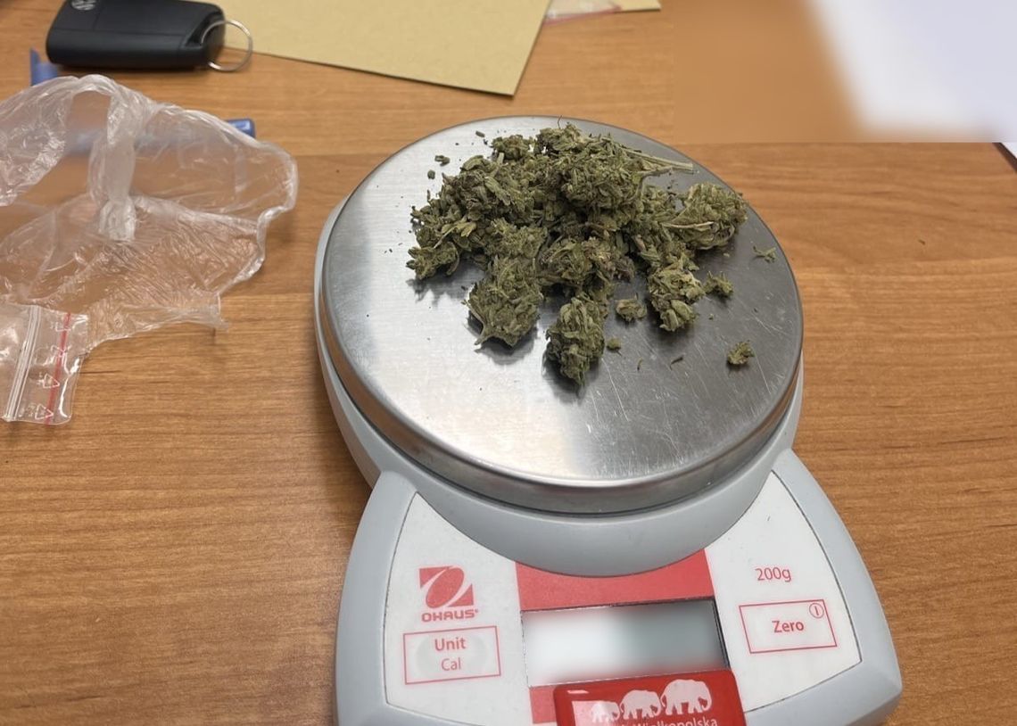 14-latek złapany z marihuaną. Zdradził go zapach, który poczuli policjanci