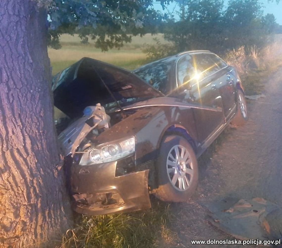 15 i 16-latek zauważyli otwartego audika. Ukradli auto, a po krótkiej jeździe rozbili się na drzewie