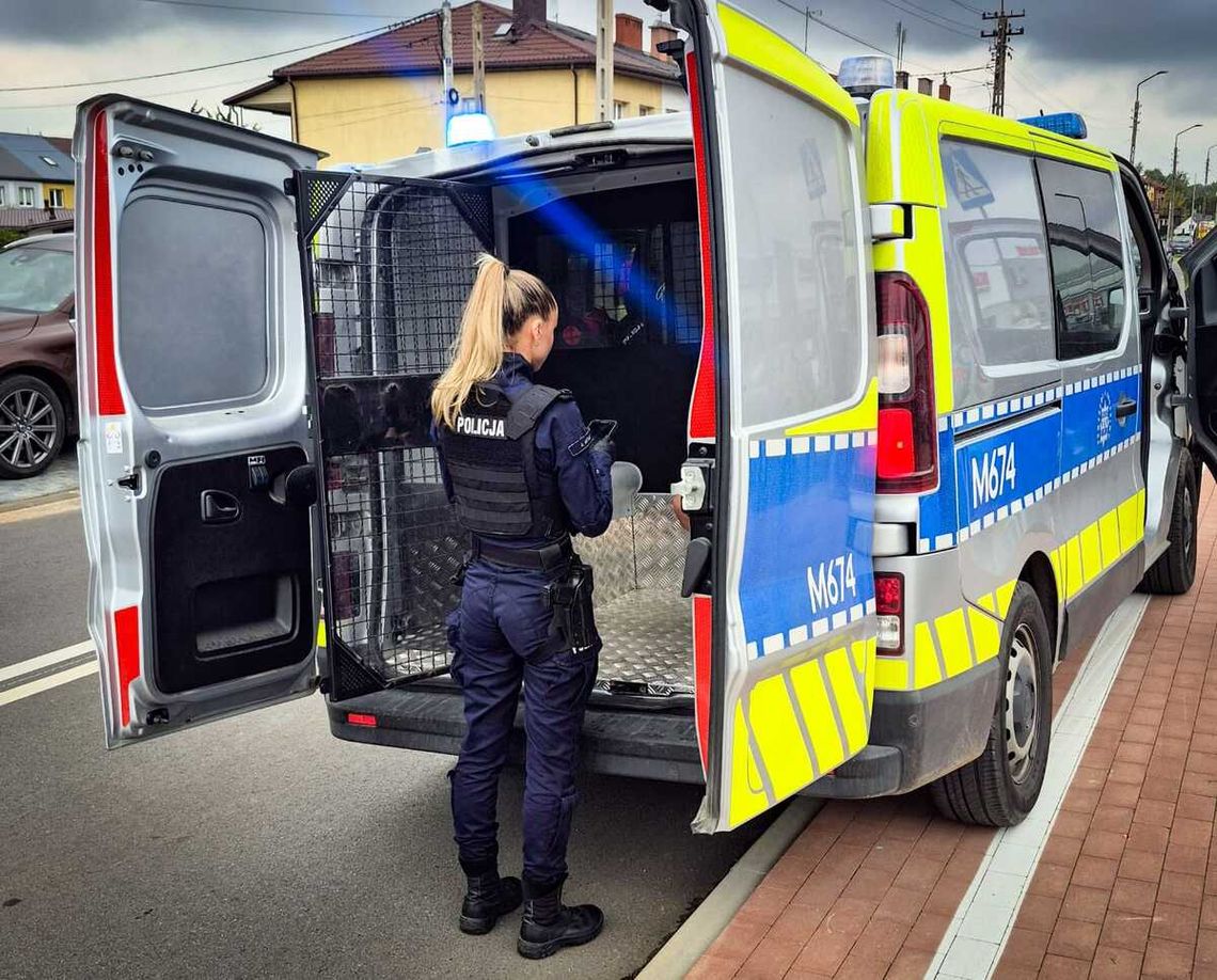 15-latek na hulajnodze wyprzedzał trzy auta przy przejściu, a potem uciekał przed policjantami 15-latek na hulajnodze wyprzedzał trzy auta przy przejściu, a potem uciekał przed policjantami