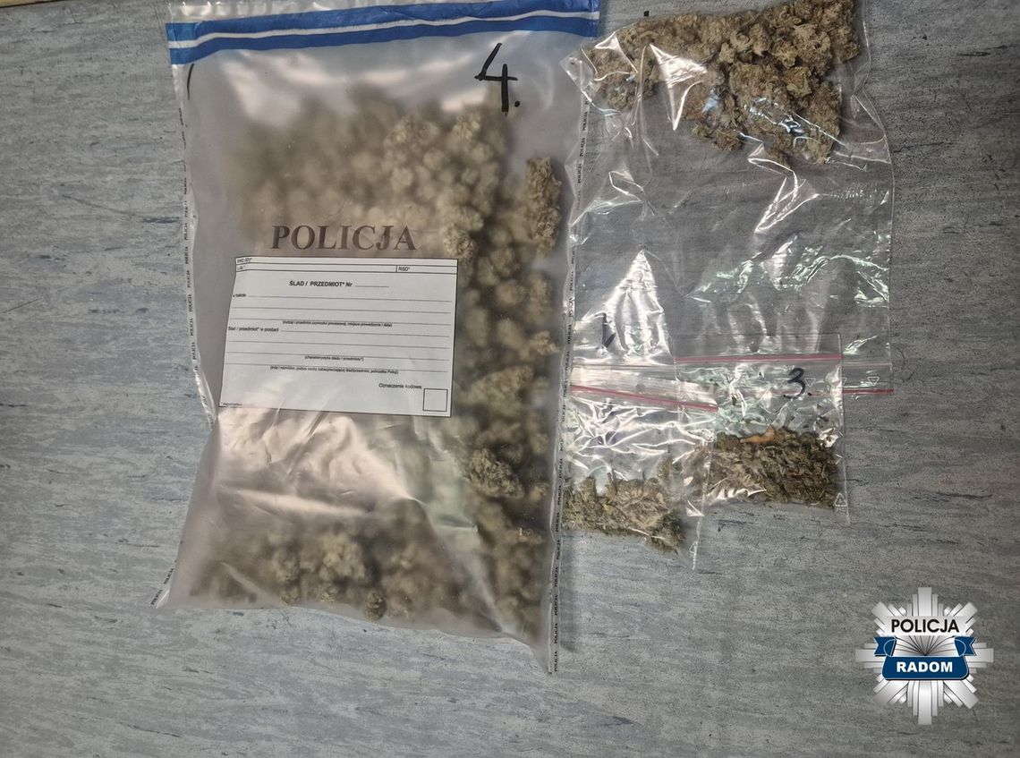 16-latek miał ponad 300 gramów marihuany. Po zatrzymaniu trafił do policyjnej izby dziecka