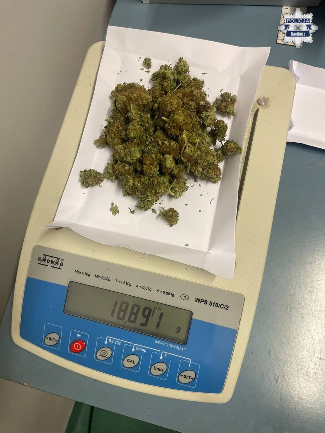 18-latek bardzo denerwował się podczas kontroli. W pudełku po pizzy ukrywał marihuanę 18-latek bardzo denerwował się podczas kontroli. W pudełku po pizzy ukrywał marihuanę