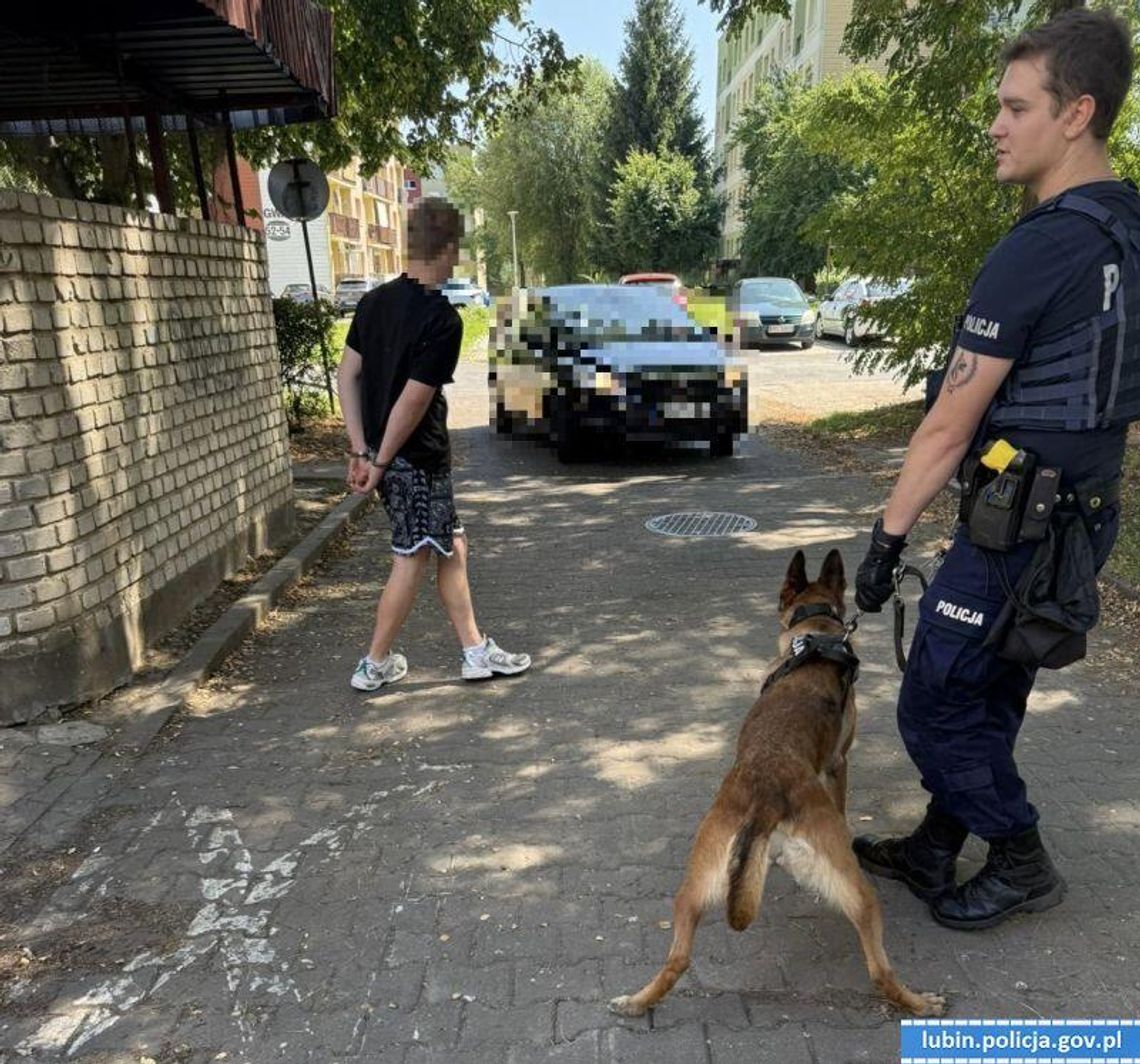 18-latek spowodował kolizję i ukrył się w... wiacie śmietnikowej. Wytropił go policyjny pies