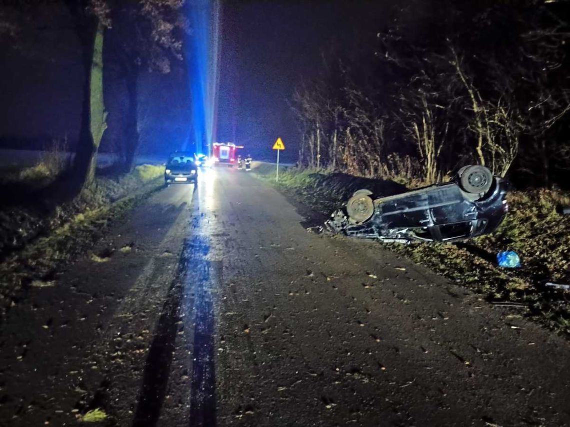 18-latka dachowała volkswagenem. Dziewczyna chciała ominąć leżące na jezdni zwłoki kota 18-latka dachowała volkswagenem. Dziewczyna chciała ominąć leżące na jezdni zwłoki kota