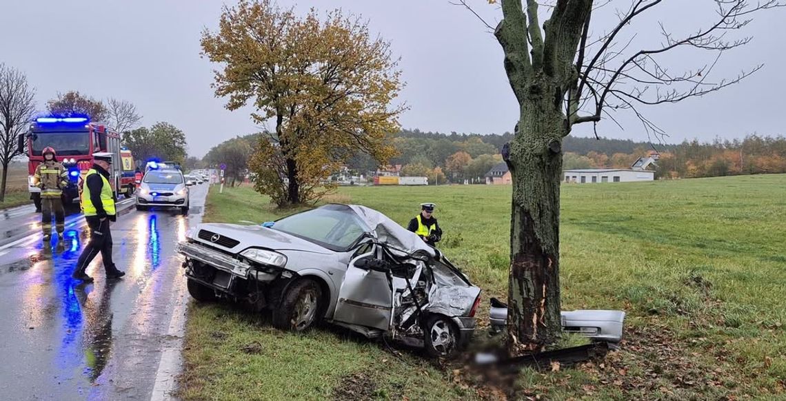18-latka jechała za szybko i rozbiła auto na drzewie. W aucie jeszcze dwóch 15-latków
