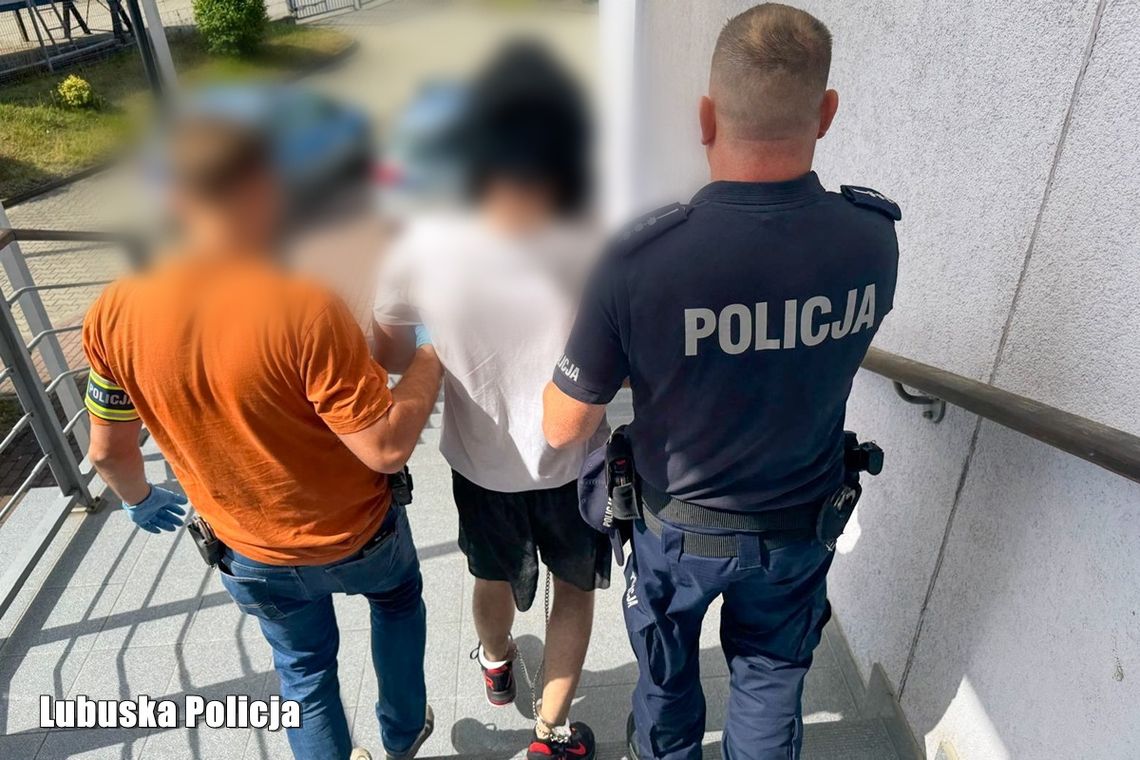 19-latek dźgnął nożem kobietę na przejściu dla pieszych. Za usiłowanie zabójstwa grozi mu dożywocie