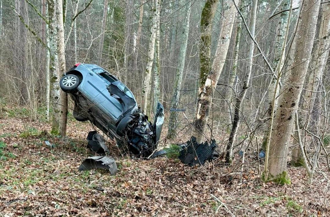 19-latek stracił panowanie nad autem i zaparkował na drzewie. Prawko ma od niespełna roku