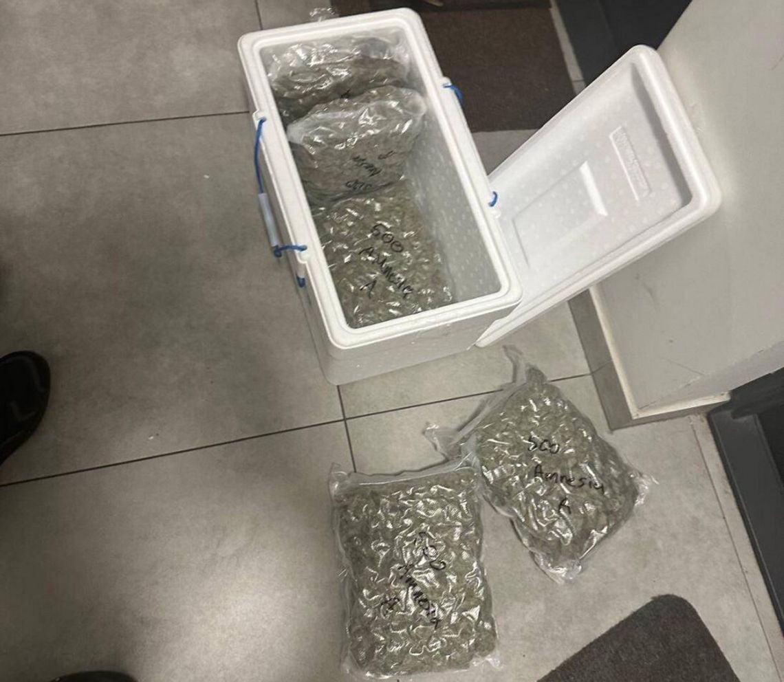 2,5 kilograma marihuany w paczce z Hiszpanii. Zatrzymany 21-latek i jego 25-letnia wspólniczka