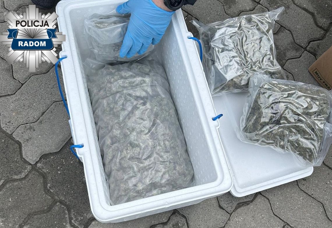 20-latek odebrał paczkę i natychmiast zatrzymała go policja. W środku były dwa kilogramy marihuany 20-latek odebrał paczkę i natychmiast zatrzymała go policja. W środku były dwa kilogramy marihuany