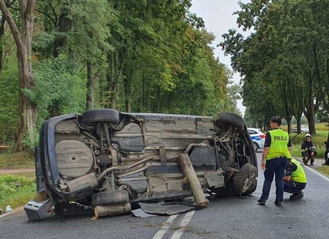 20-letni kierowca wjechał BMW w drzewo. W wypadku zginęła 19-letnia dziewczyna