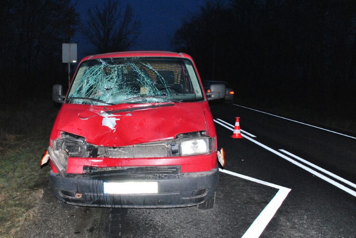 21-latka wbiegła pod busa. Kierowca nie miał szans na reakcję, dziewczyna zmarła na miejscu