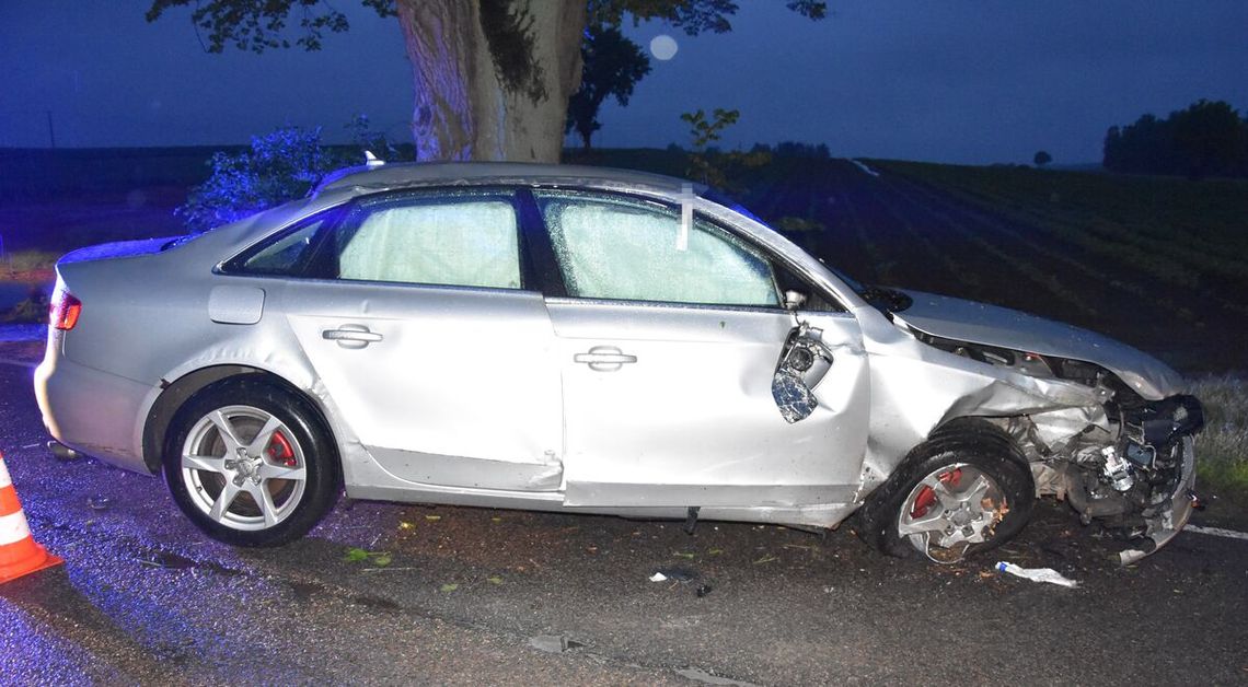 21-letnia dziewczyna ruszyła w trasę z prawie trzema promilami. Audi rozbiło się na drzewie