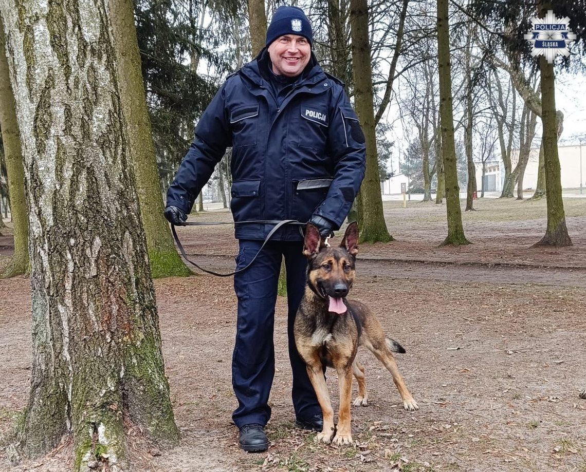 22-latek dachował peugeotem i uciekł z miejsca. Pijanego kierowcę wytropił policyjny pies "wafel" 22-latek dachował peugeotem i uciekł z miejsca. Pijanego kierowcę wytropił policyjny pies "wafel"