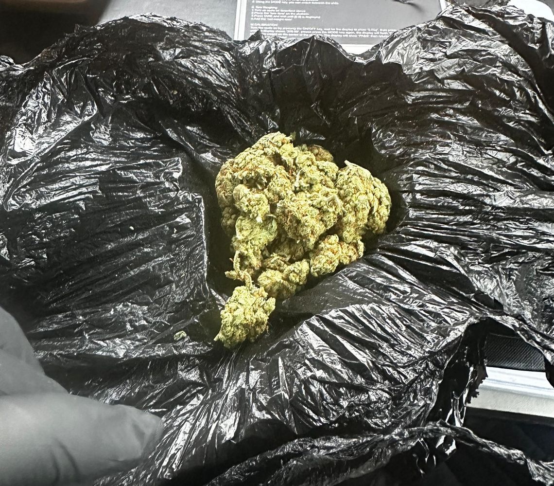 23-latek chciał poczęstować dwie policjantki marihuaną. Pomylił je z dziewczynami z imprezy