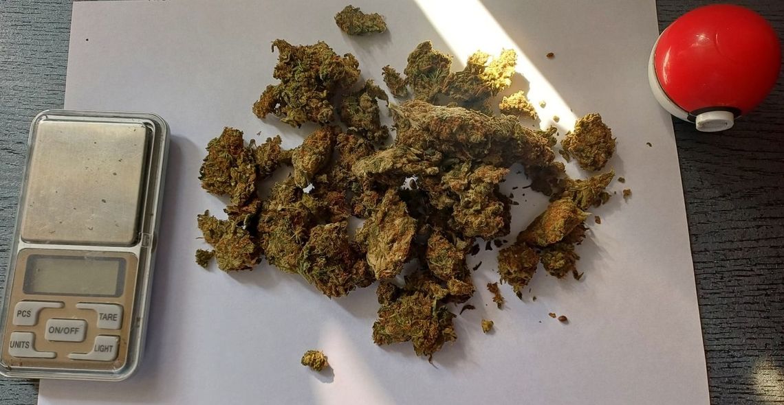 23-latek częstował marihuaną nastolatki. Wpadł podczas rutynowej kontroli policji