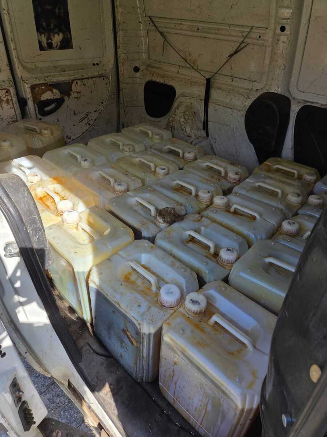 24-kanistry wypełnione podejrzaną cieczą w zatrzymanym busie. Wykryto w niej substancję psychotropową