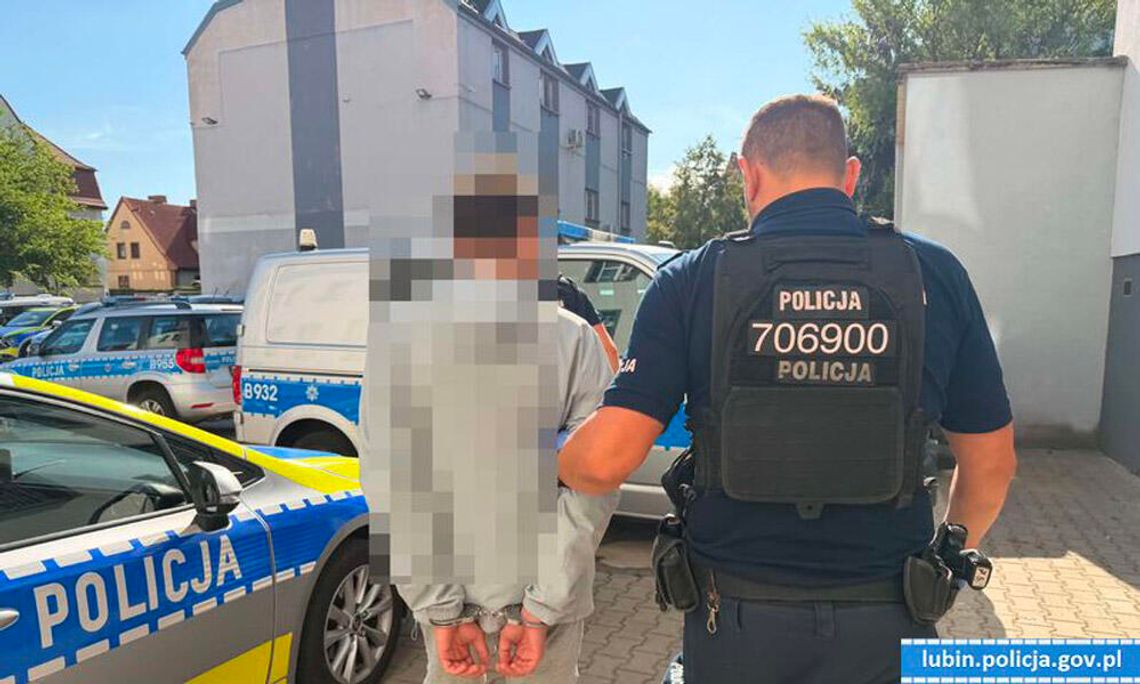 24-latek wymyślił sobie, że będzie żył z kradzieży. Miał zaległy wyrok do odsiedzenia, a teraz usłyszał 12 zarzutów