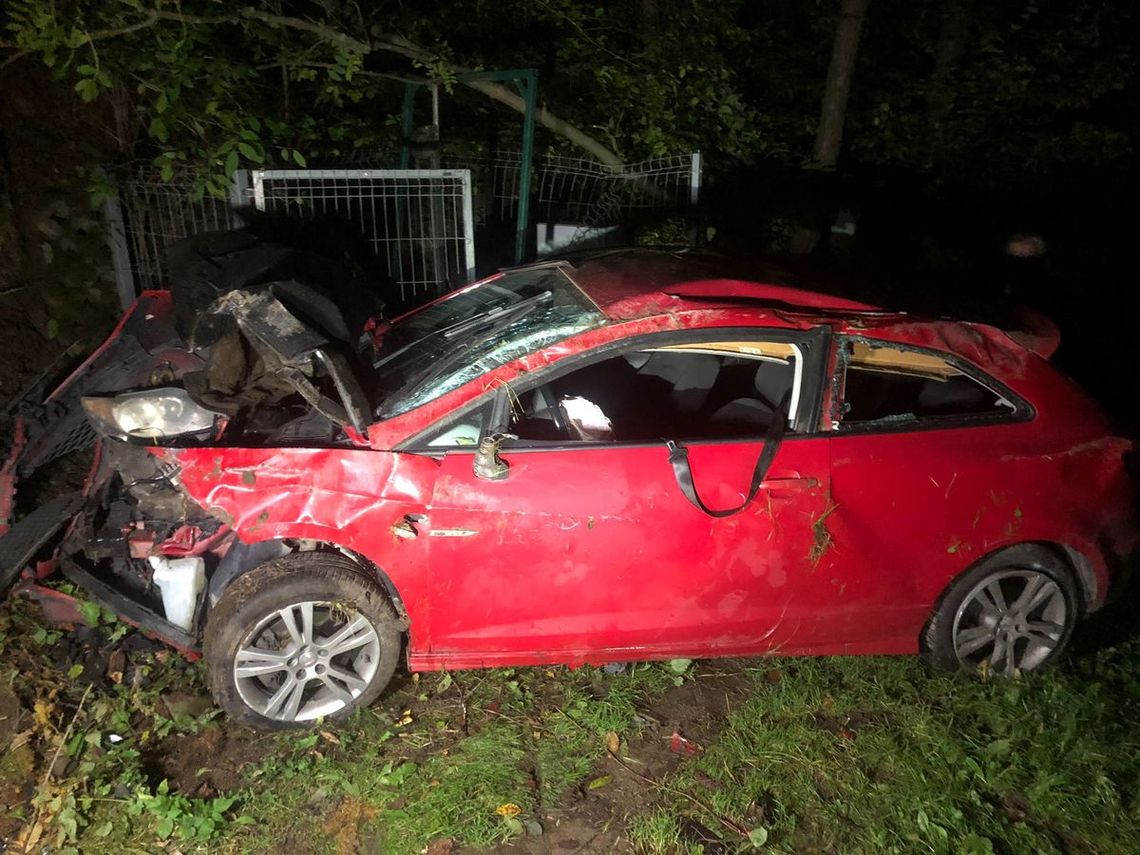 26-latek z dwoma promilami rozbił auto w rowie i próbował zwalić winę na sarnę