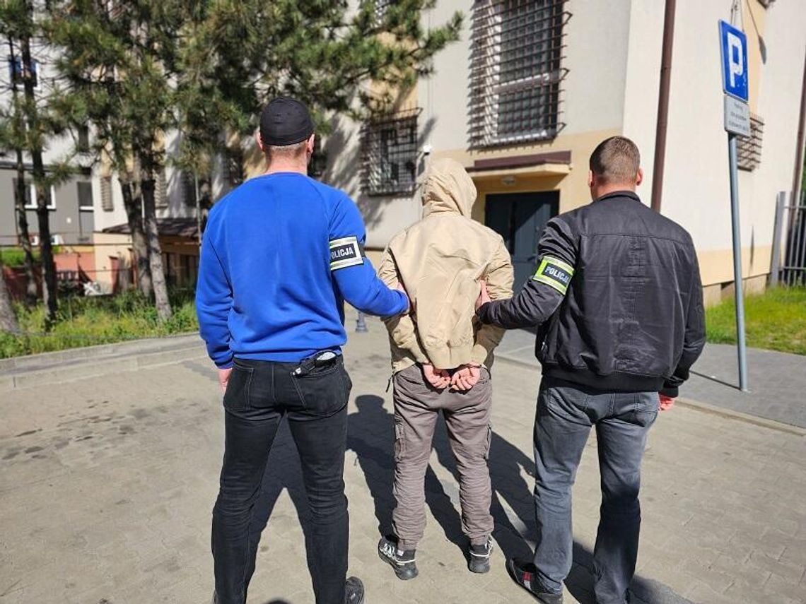 28-latek prowadził uprawę konopi w mieszkaniu. Policjanci znaleźli blisko 8 kg marihuany