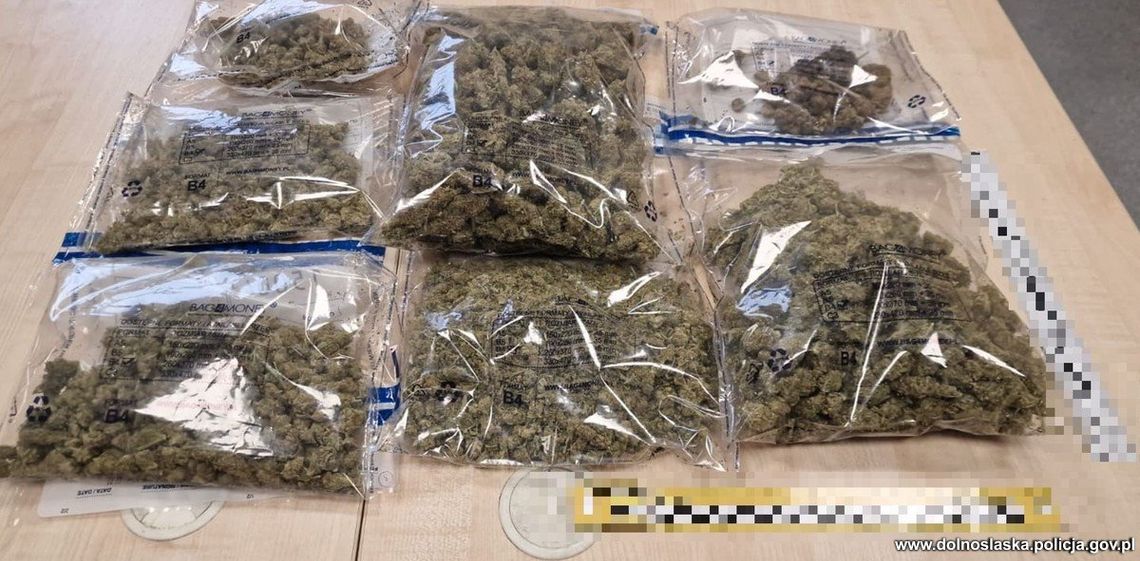 33-latek zatrzymany za posiadanie znacznej ilości marihuany. Może trafić za kratki na 10 lat