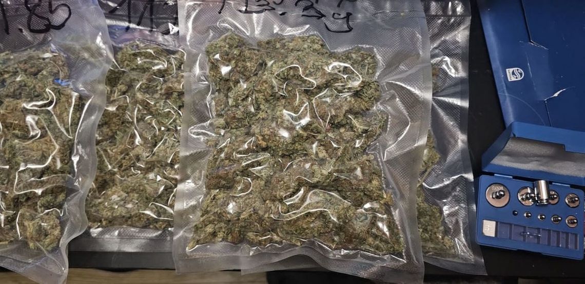 37-latek trzymał narkotyki w sejfie. Podczas nalotu policjanci znaleźli blisko kilogram towaru