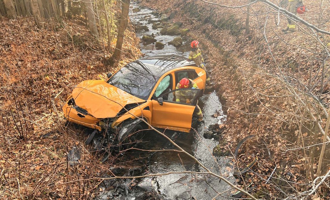 44-latek rozbił elektrycznego mustanga w potoku. Zbiegł z miejsca - znaleźli go martwego w domu
