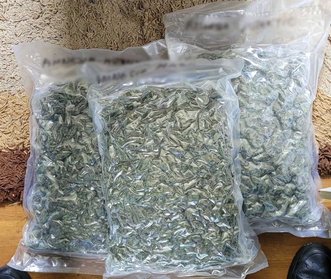 65-latek miał w domu 3,5 kilo hermetycznie sprasowanej marihuany. Grozi mu długie więzienie 65-latek miał w domu 3,5 kilo hermetycznie sprasowanej marihuany. Grozi mu długie więzienie