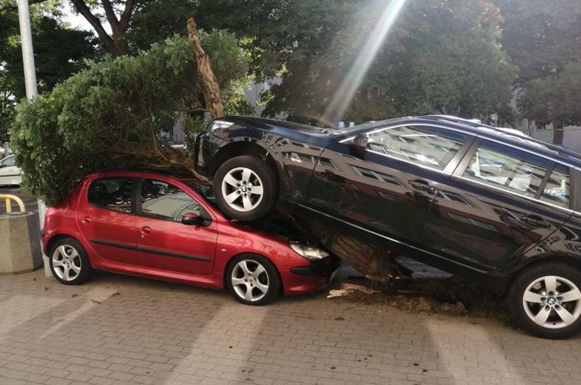 75-latek chciał tylko zaparkować beemkę, ale za mocno wcisnął gaz. Skasował auto sąsiada