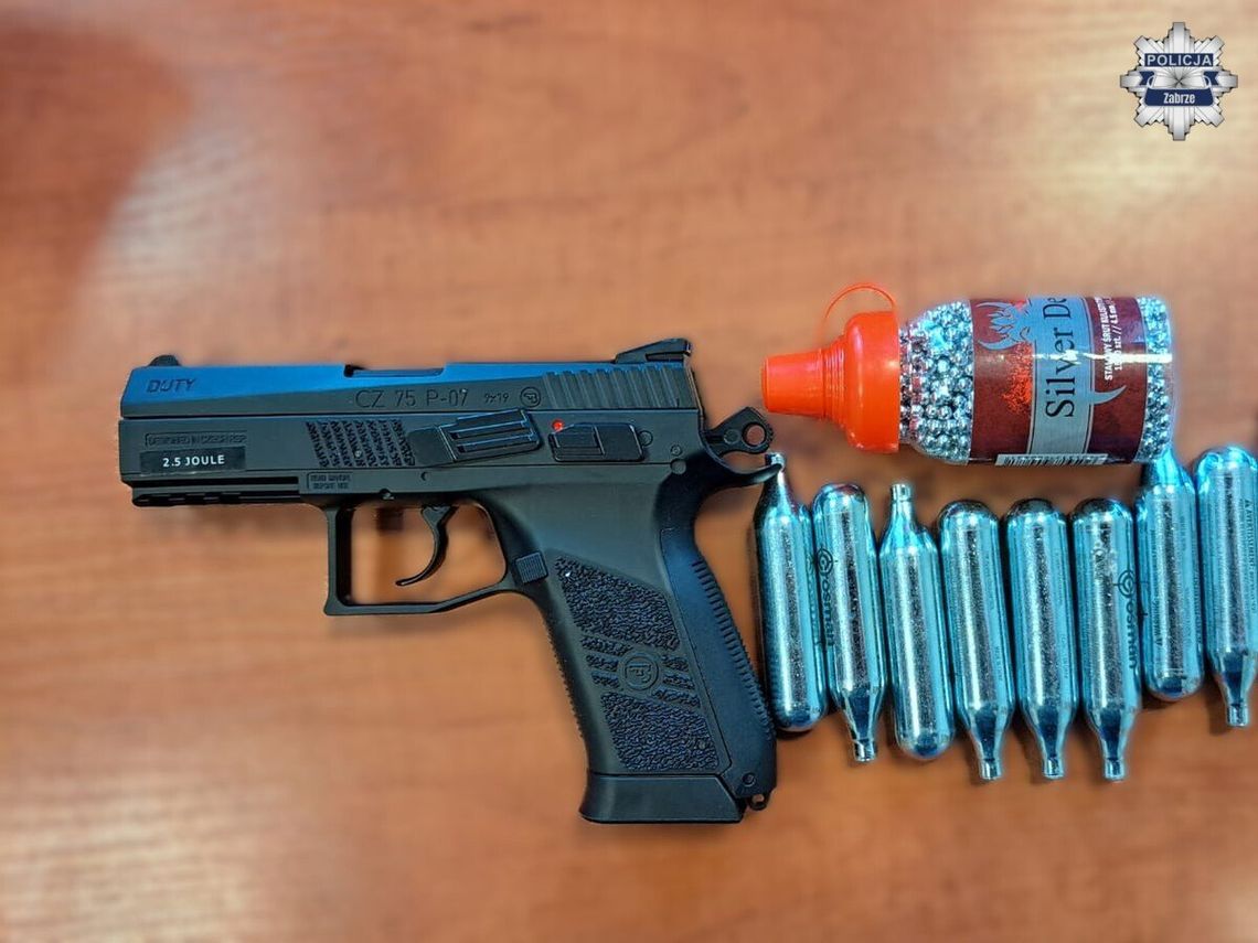 76-latek chciał zemścić się na gołębiach i strzelał do nich z wiatrówki. Teraz grozi mu więzienie