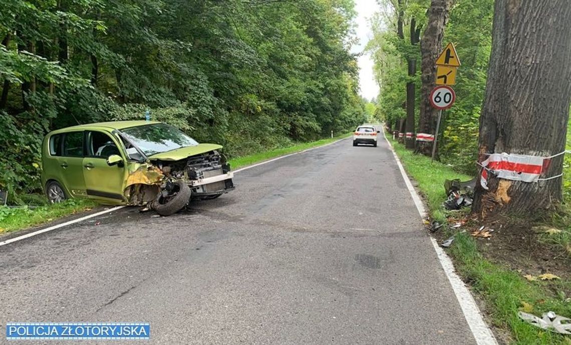 81-latek walczył z pszczołą w trakcie jazdy autem. Skończyło się czołówką z drzewem