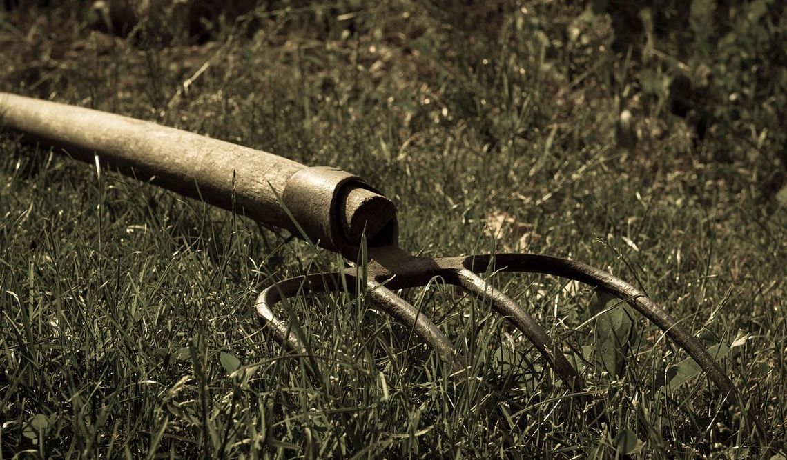 Agresor zaatakował policjanta widłami. Wcześniej dobijał się do domu siekierą