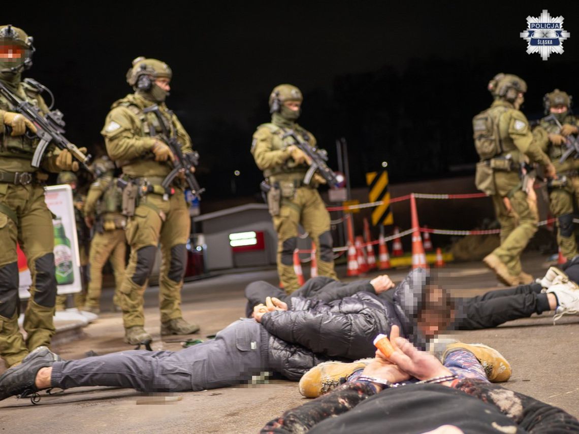 Akcja policji, straży granicznej i Europolu. Pseudokibice pomagali w przemycani migrantów z Afryki