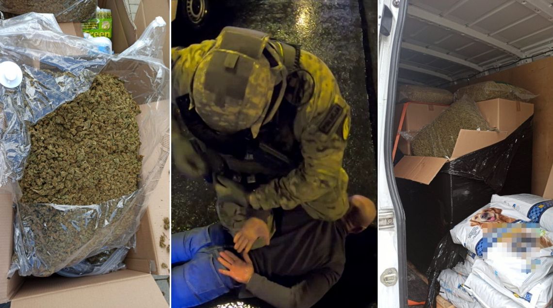 Antyterroryści zatrzymali kuriera, który wiózł prawie 100 kg marihuany [WIDEO, FOTO]