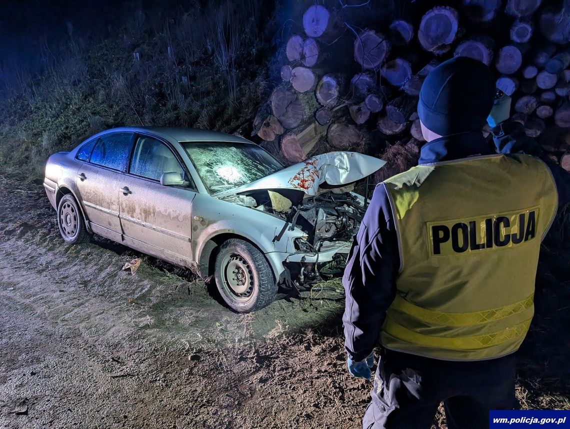 Auto zmiażdżone na drzewie i nikogo na miejscu. Policja wyjaśnia okoliczności tajemniczego wypadku