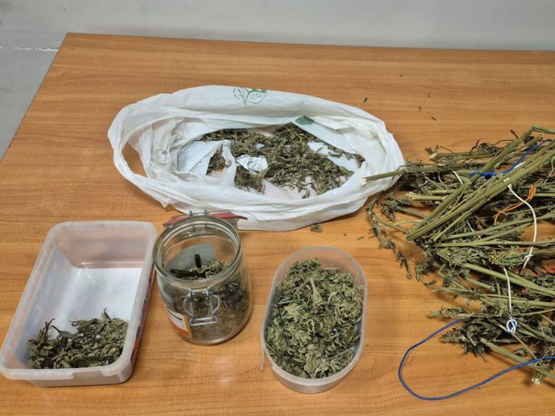 Awantura domowa z narkotykowym finałem. Żona mu wybaczyła, ale policjanci znaleźli marihuanę