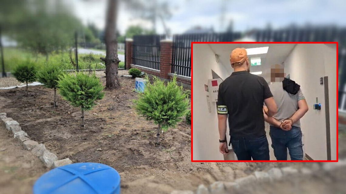 Bardzo spodobały mu się krzewy w cudzym ogrodzie. Wykopał je i posadził na własnej działce Bardzo spodobały mu się krzewy w cudzym ogrodzie. Wykopał je i posadził na własnej działce