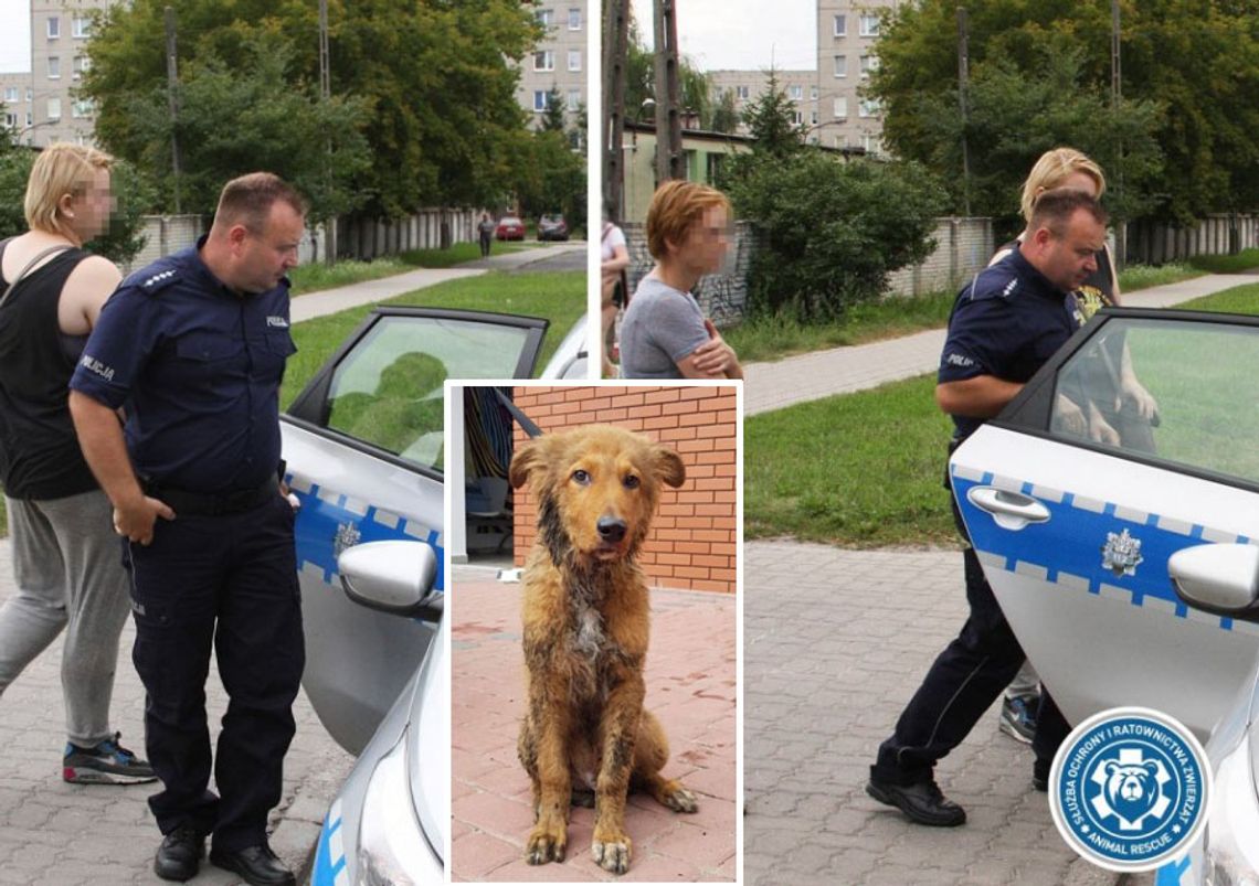 Bestie, nie kobiety. Kopały w worek z psem. Potem próbowały go utopić