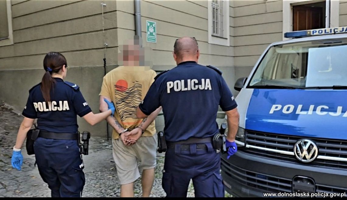 Bili, przewracali na ziemię i okradali przypadkowych ludzi. Brutalna seria napadów zakończona aresztowaniami