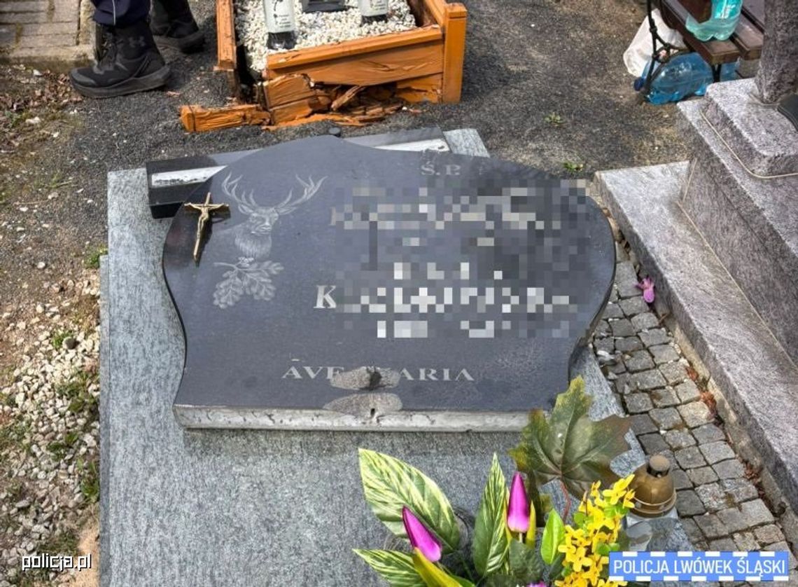 Błąkał się po cmentarzu, zachowywał się bardzo dziwnie. Znaleziono zniszczone nagrobki