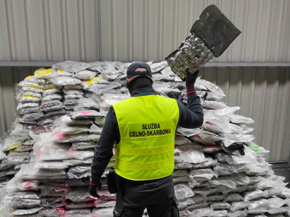 Blisko tona marihuany przypłynęła do portu w Gdańsku. Narkotyki były ukryte w kontenerze z panelami