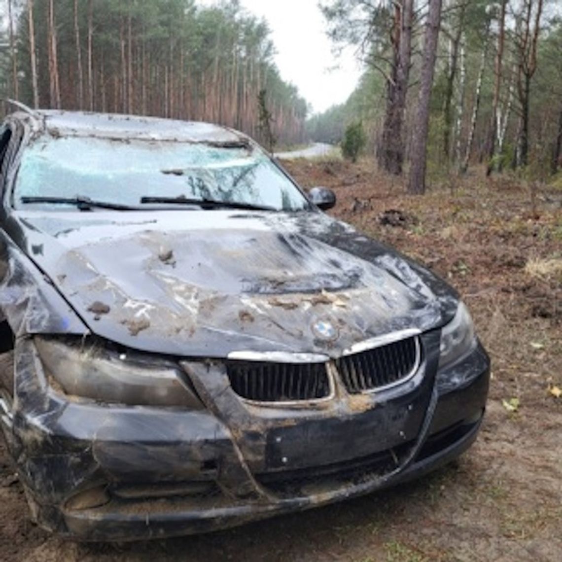 BMW dachowało na łuku drogi. 18-letnia kierująca zaledwie pół godziny wcześniej kupiła auto