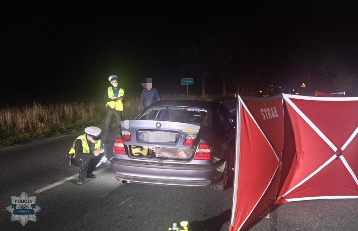 BMW potrąciło sarnę. Zwierzę wpadło do środka, zginęła pasażerka BMW potrąciło sarnę. Zwierzę wpadło do środka, zginęła pasażerka