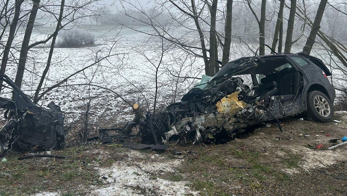 BMW wypadło z drogi i uderzyło w drzewo. Kierowca w stanie śpiączki farmakologicznej [FOTO]