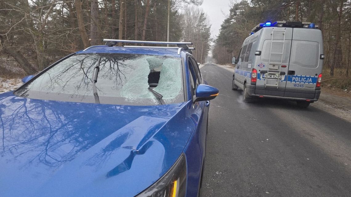 Bryła lodu wpadła do samochodu przez przednią szybę i uderzyła w kierowcę. Mężczyzna trafił do szpitala