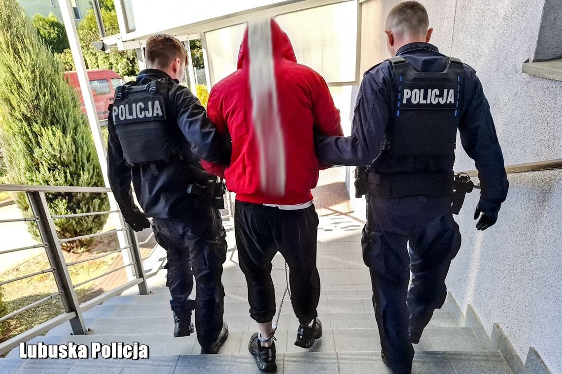Brutalny napad na taksówkarza. 22-latek użył gazu, ukradł auto i rozbił je na drzewie
