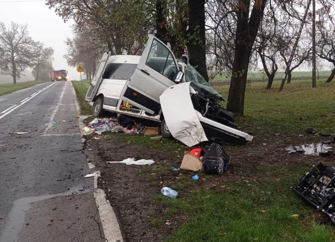 Bus z dziesięcioma pasażerami wjechał w drzewo. Nie żyją dwie kobiety i dziecko. FOTO