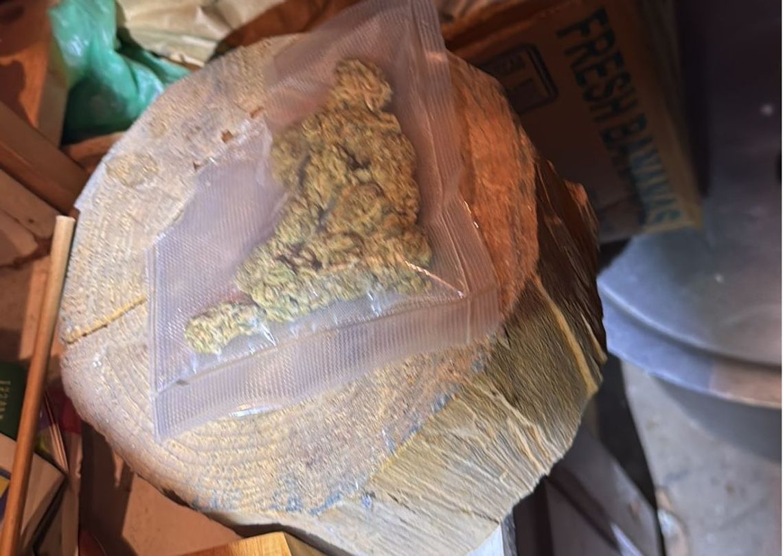 Był trzeźwy, ale przyznał, że palił marihuanę, a kilka miesięcy wcześniej brał amfetaminę. Policjanci użyli narkotestu